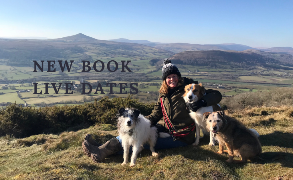 Kate on the Sugarloaf with Badger, Bella & Teg