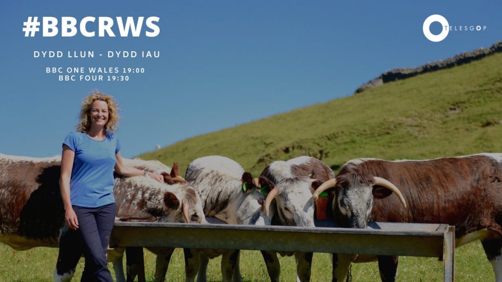 Kate Humble at the Royal Welsh Show