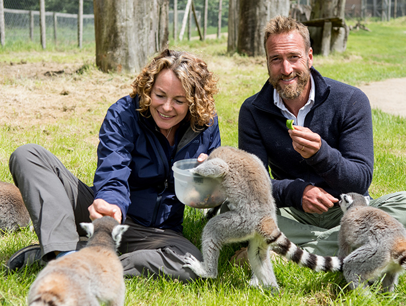 Longleat - Animal Park presenters Kate Humble and Ben Fogle filming with the lemurs at