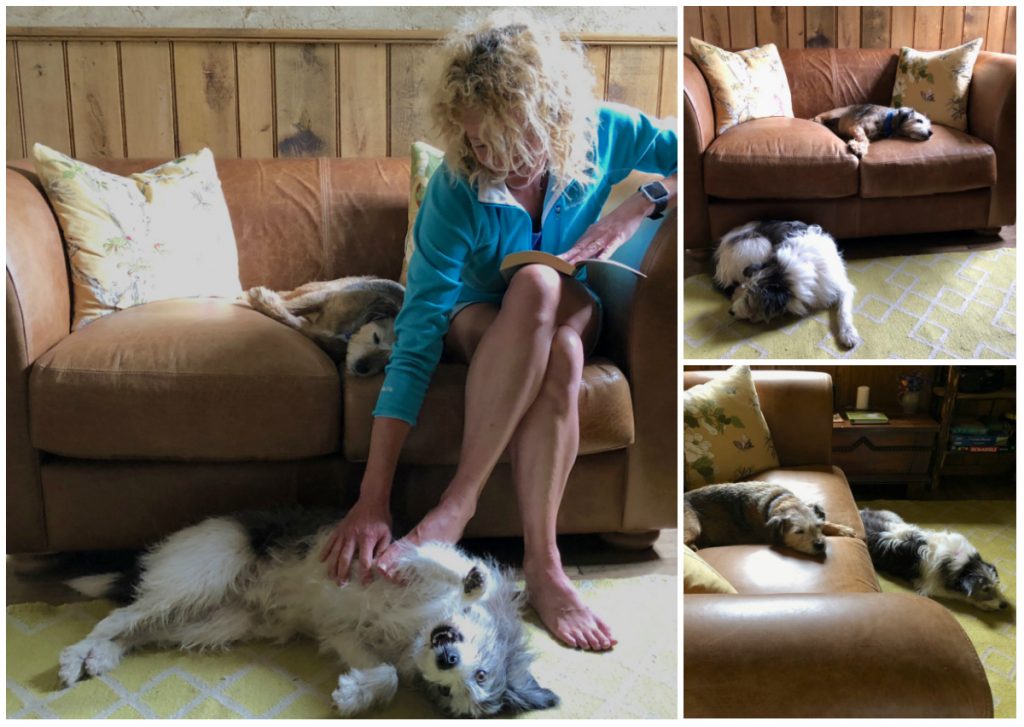 Indigo Grandad Sofa at Kate Humble's Poacher's Cabin