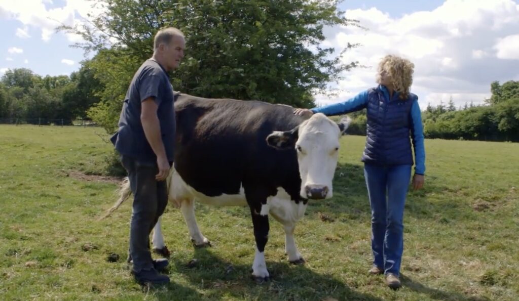 Farmer Tim and Kate with cow at humble by nature