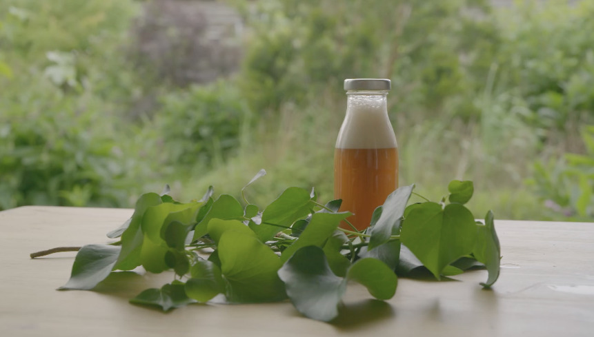 Ivy Washing Up Liquid